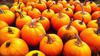 vegetables, harvest, pumpkin, thanksgiving, holiday, 