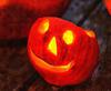 pumpkin, vegetable, celebration, Pumpkin  - halloween, free photos, free images, free stock photos, public domain images, stock free images, download free images  