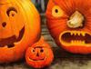 pumpkin, holiday, lots of pumpkins, garden, spooky, trick or treet, halloween -  stock free photos, public domain images, download free images, free stock images, public domain 