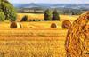 field, harvest, wheat, haystack,