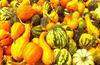 pumpkin, head, vegetable, flame, holiday, candle, celebration,  - halloween, free photos, freeimages, free stock images, public domain images, download free images, stock free images 