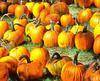 vegetables, harvest, pumpkin, thanksgiving, holiday, 