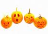 garden, pumpkins, holiday, smile, candle, Halloween pumpkin