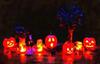 lanterns, lights, light, lamp, lantern, pumpkin, night, holiday, skull, halloween, - stock free images, public domain, free images, download images for free, public domain photos, free stock image 