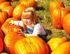  pumpkin, muzzle, carved, celebration, joy, carnival, smile, face, Halloween,  - halloween, free image, free picture, stock free images, public domain images, download free photos, free stock photos 