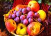 crop, apples, holiday, fruit, wealth, summer,