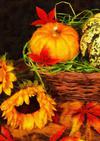 holiday basket, pumpkins, holiday, smile, candle, Halloween pumpkin