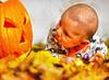 child, baby, toddler, pumpkin, halloween - halloween free image, free images, public domain images, stock free images, download image for free, halloween stock free images
