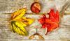  leaves, autumn, brown, wooden flooring,