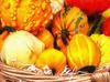 pumpkin, thanksgiving, vegetables, harvest, holiday, 