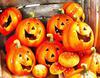 pumpkin, holiday, celebration, fun, carnival, smile, face, Halloween, All Saints' Day