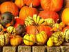 pumpkin, holiday, lots of pumpkins, garden, spooky, trick or treet, halloween -  stock free photos, public domain images, download free images, free stock images, public domain 