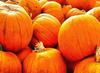 pumpkin, trade, tray, stall, holiday, lots of pumpkins, garden, spooky, halloween -  stock free photos, public domain images, download free images, free stock images, public domain