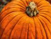 pumpkin, head, vegetable, flame, holiday, candle, celebration,  - halloween, free photos, freeimages, free stock images, public domain images, download free images, stock free images 