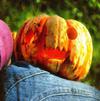 pumpkin, vegetable, celebration, Pumpkin  - halloween, free photos, free images, free stock photos, public domain images, stock free images, download free images  