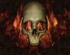 skull, head, bones, horror, halloween, fire