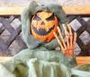  skull, head, bones, horror, skeleton, fear, smile, halloween - halloween free image, free images, public domain images, stock free images, download image for free, halloween stock free images!