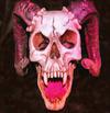  skull, head, bones, horror, skeleton, fear, smile, halloween - halloween free image, free images, public domain images, stock free images, download image for free, halloween stock free images!