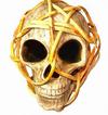  skull, head, bones, horror, skeleton, fear, smile, halloween - halloween free image, free images, public domain images, stock free images, download image for free, halloween stock free images!