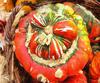 vegetables, harvest, pumpkin, thanksgiving, holiday, 