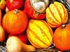 pumpkin, thanksgiving, vegetables, harvest, holiday, 