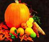  pumpkin, muzzle, carved, celebration, joy, carnival, smile, face, Halloween,  - halloween, free image, free picture, stock free images, public domain images, download free photos, free stock photos 