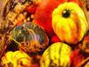 pumpkin, thanksgiving, vegetables, harvest, holiday, 