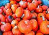 vegetables, harvest, pumpkin, thanksgiving, holiday, 