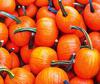 pumpkin, holiday, head, smile, vegetables, fun, - halloween, holiday, free images, public domain images, free stock images, download images, free pictures