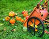 pumpkin, souvenir, holiday, joy, Halloween, flame, candle, fun,  - halloween, free image, free picture, stock free images, public domain images, download free photos, free stock photos 