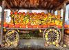 pumpkin, wheelbarrow, cart, trade, tray, stall, holiday, lots of pumpkins, garden, spooky, halloween -  stock free photos, public domain images, download free images, free stock images, public domain