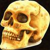  skull, head, bones, horror, skeleton, fear, smile, halloween - halloween free image, free images, public domain images, stock free images, download image for free, halloween stock free images!