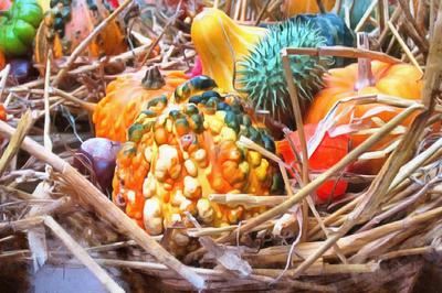 thanksgiving pumpkins,  ripe, crop, pumpkins,  pumpkin, yield, vegetables, holiday,  - thanksgiving, stock free image, public domain photos, free stock photo, download public domain images. 