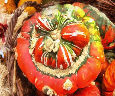 vegetables, harvest, pumpkin, thanksgiving, holiday, 