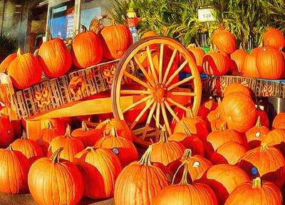 vegetables, harvest, pumpkin, thanksgiving, holiday, 