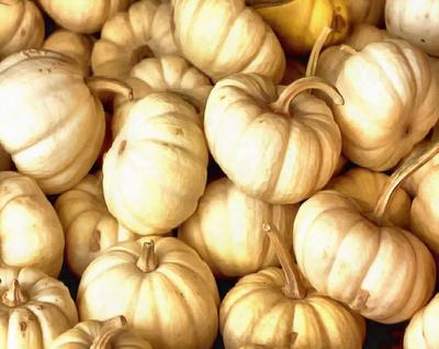 vegetables, harvest, pumpkin, thanksgiving, holiday, 