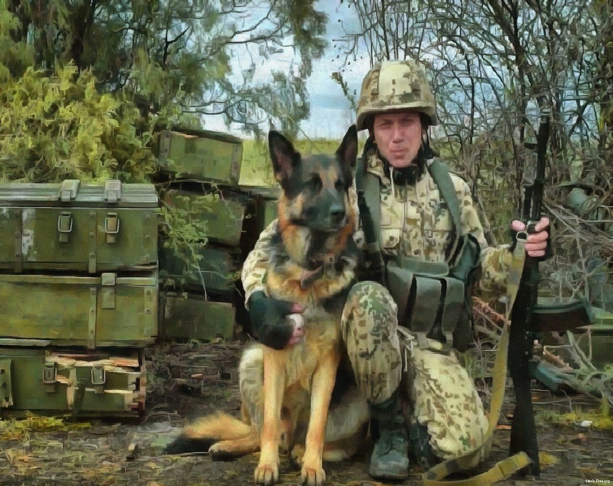 Squad Azov, Ukraine, self defence, ukrainian army, - ukrainian army stock free, free images ukraine, public domin images azov, squad azov!