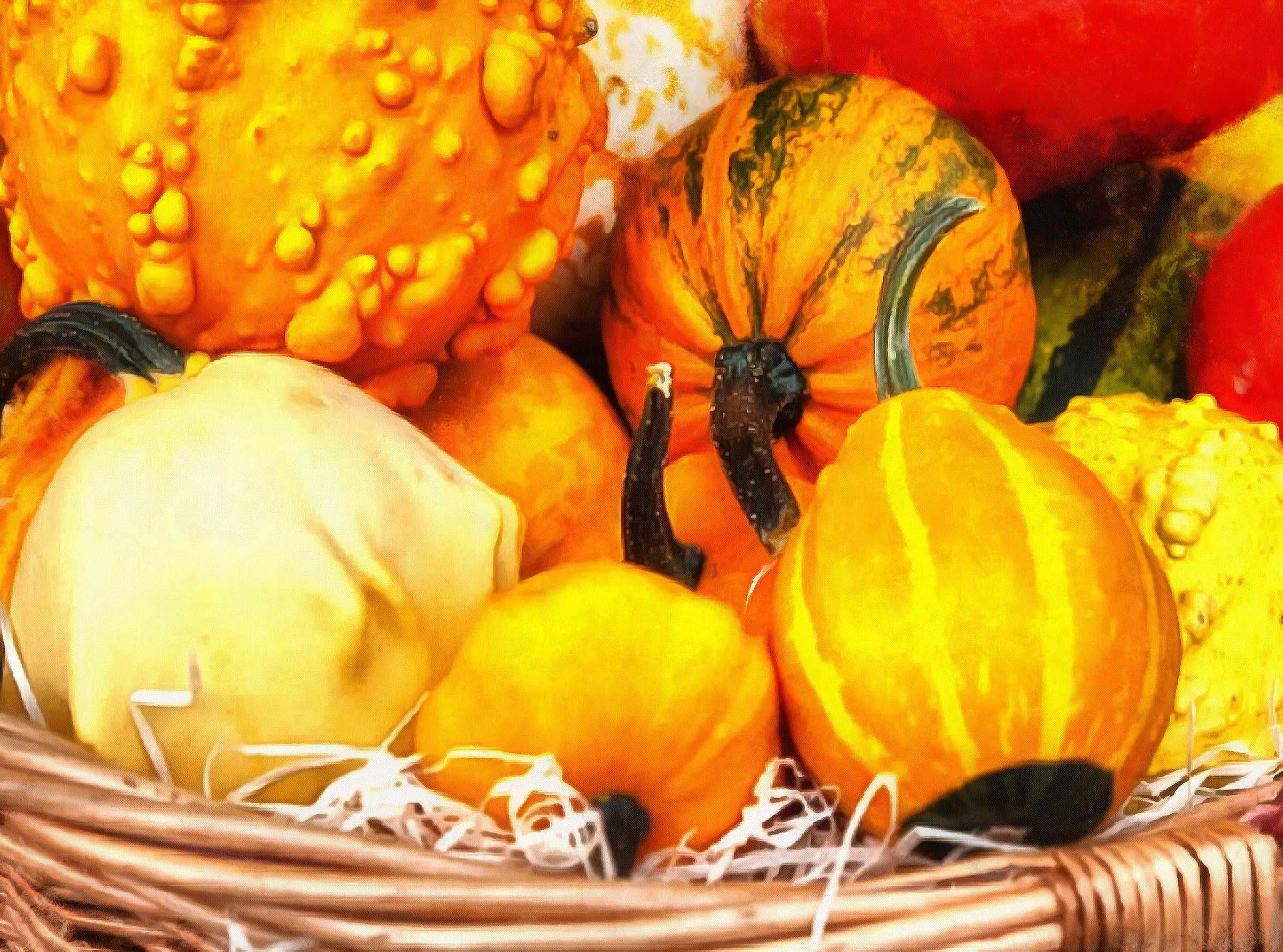 pumpkin, thanksgiving, vegetables, harvest, holiday, - thanksgiving, stock free image, public domain photos, free stock photo, download public domain images.