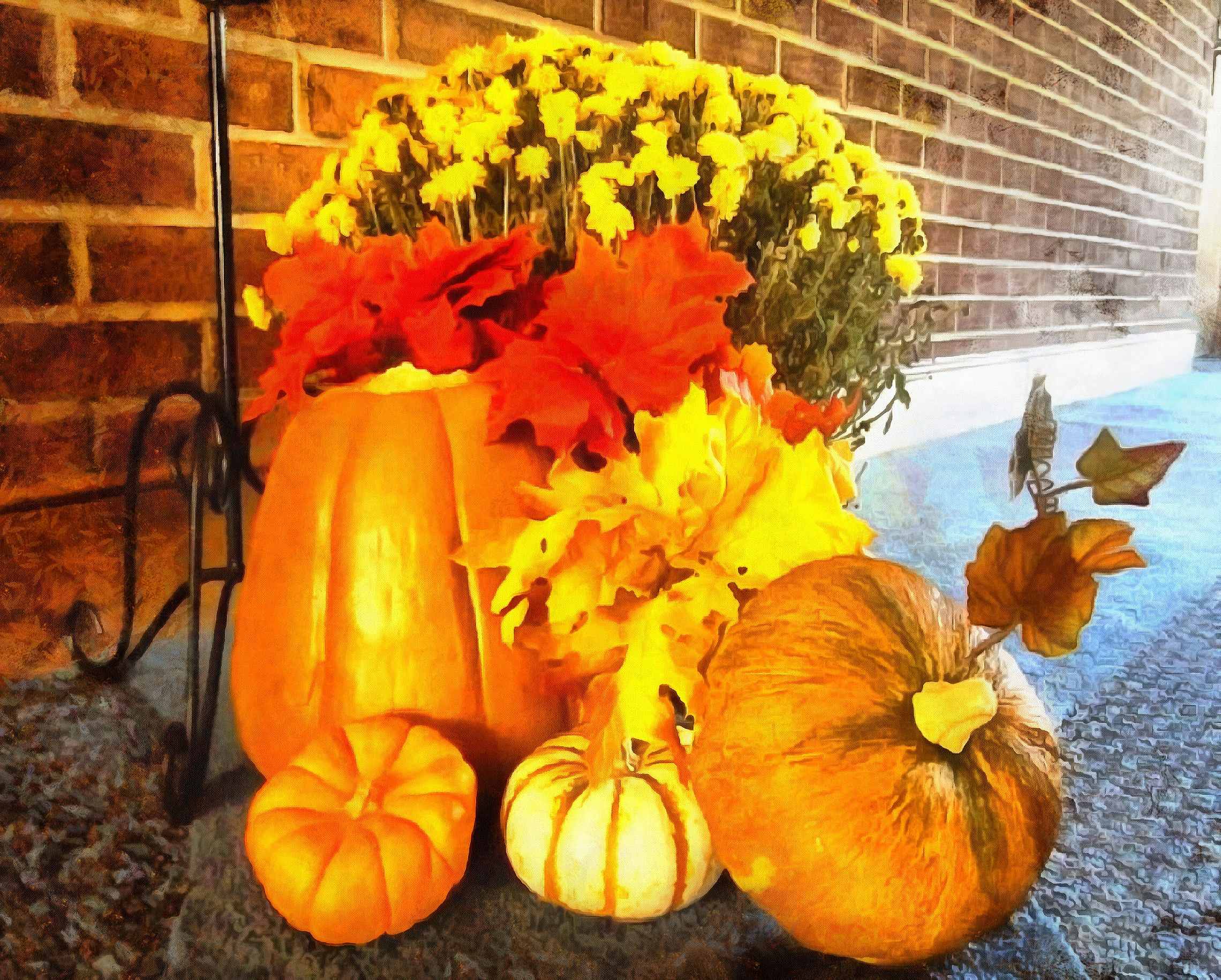 pumpkin, thanksgiving, vegetables, harvest, holiday, - thanksgiving, stock free image, public domain photos, free stock photo, download public domain images.