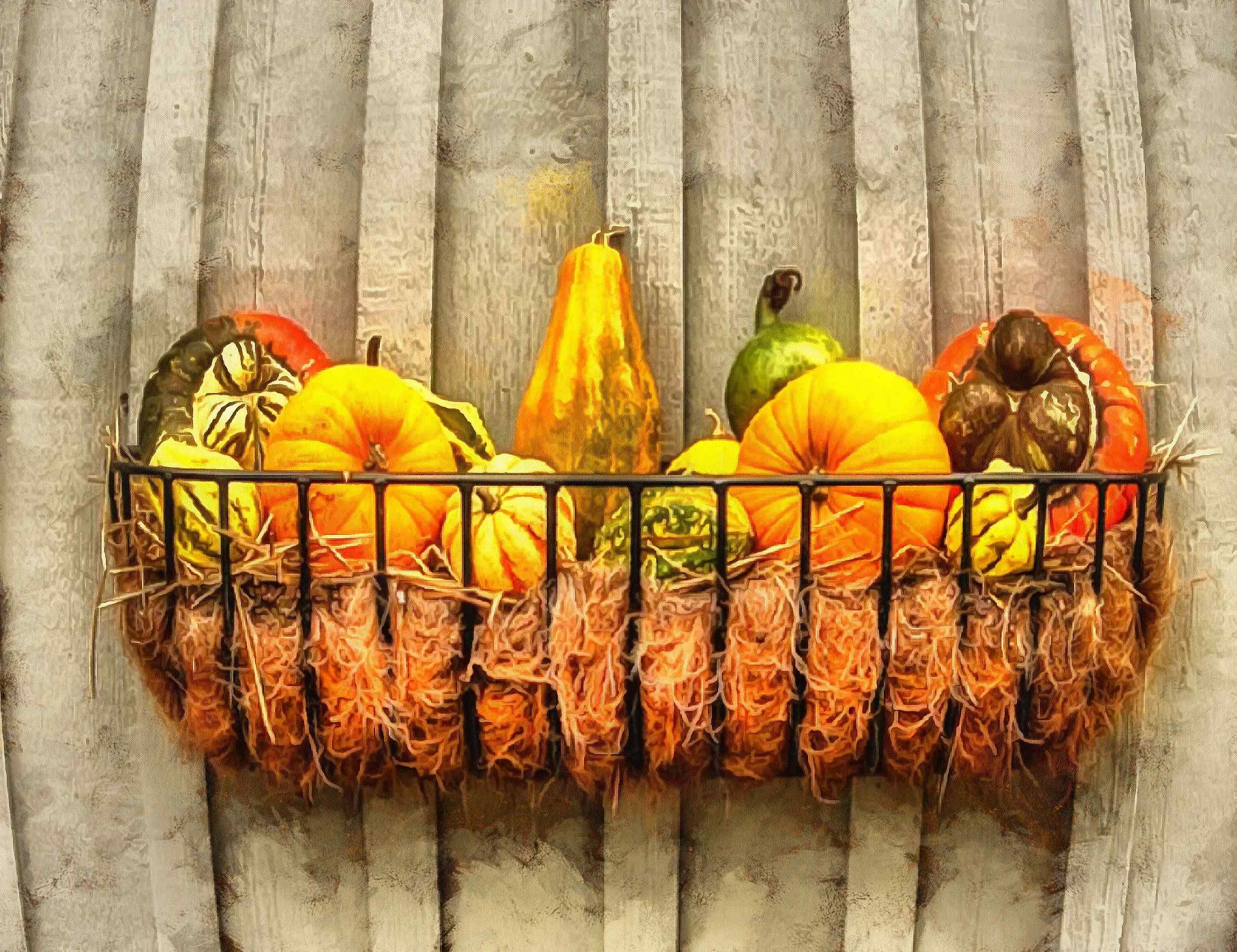 pumpkin, thanksgiving, vegetables, harvest, holiday, - thanksgiving, stock free image, public domain photos, free stock photo, download public domain images.