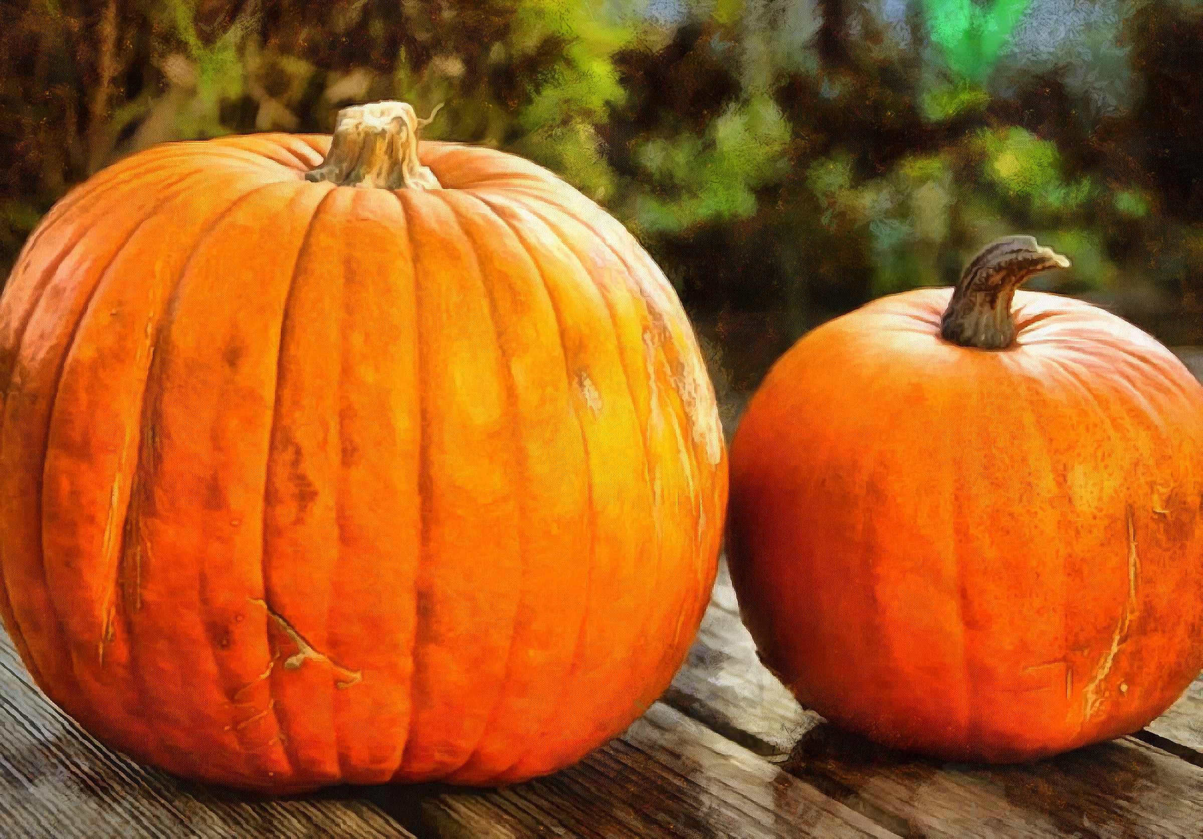 pumpkin, thanksgiving, vegetables, harvest, holiday, - thanksgiving, stock free image, public domain photos, free stock photo, download public domain images.