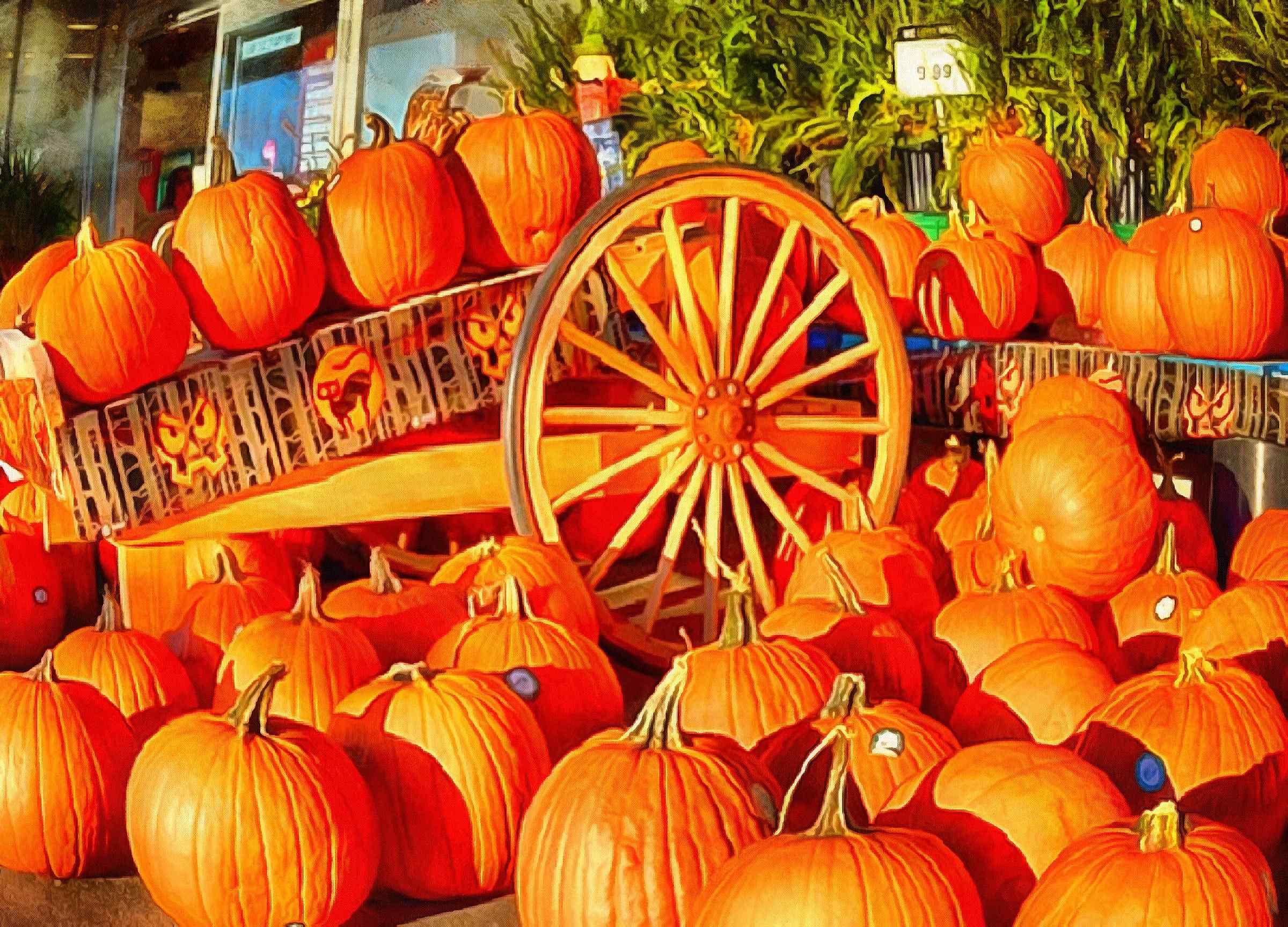 vegetables, harvest, pumpkin, thanksgiving, holiday, - thanksgiving, stock free image, public domain photos, free stock photo, download public domain images.