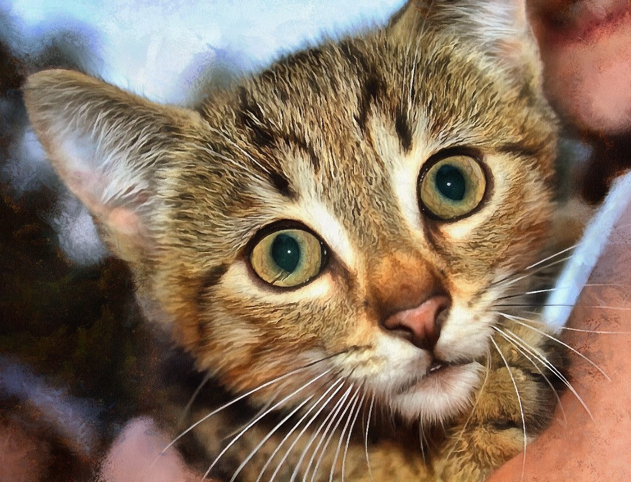 Animal Baby images, Free Stock Baby Animal Photos, Baby Animals, Baby Animal Photos, - Public Domain - Stock Free Images - Public domain!
