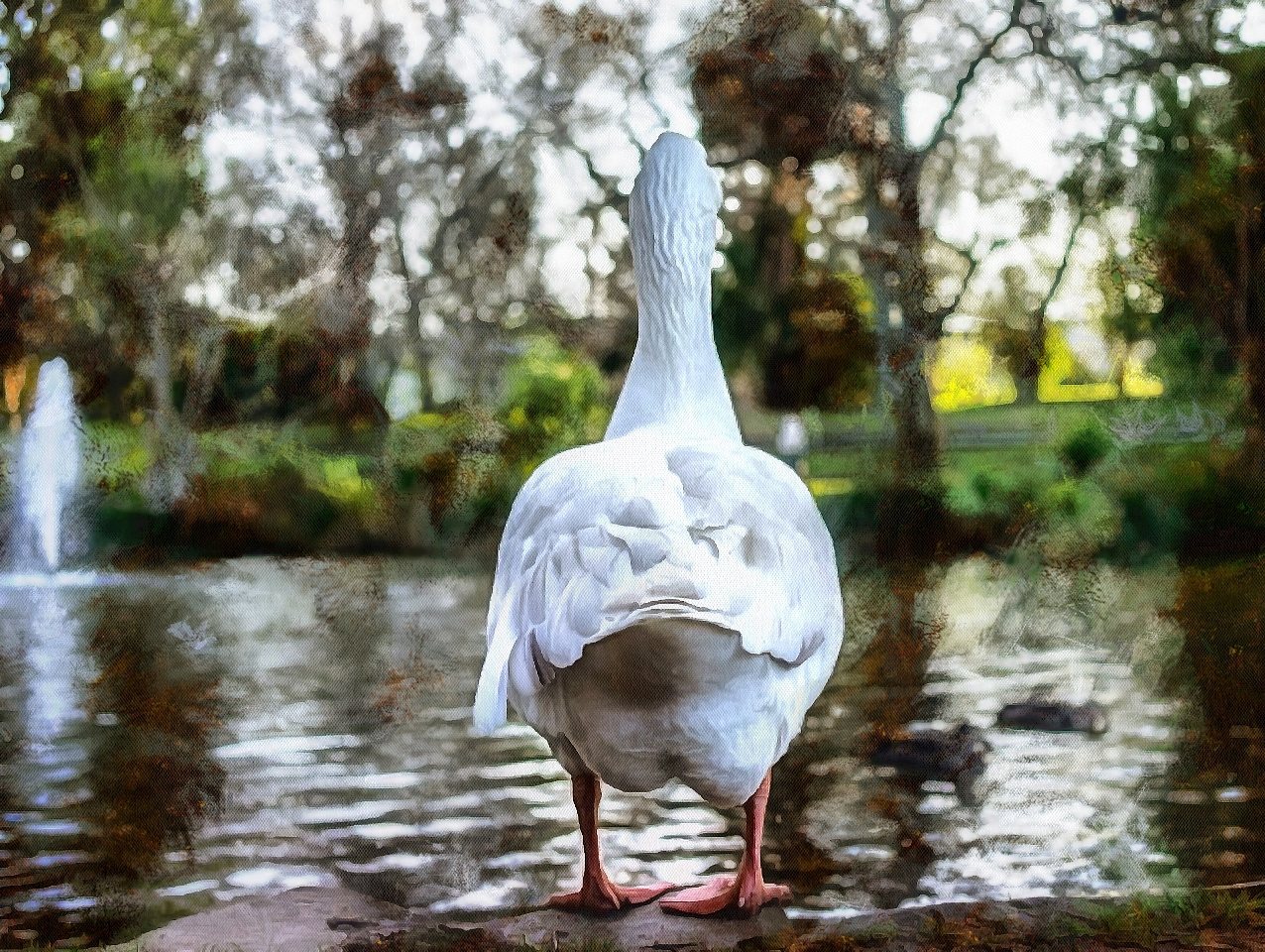 Animal Baby images, Free Stock Baby Animal Photos, Baby Animals, Baby Animal Photos, - Public Domain - Stock Free Images - Public domain!