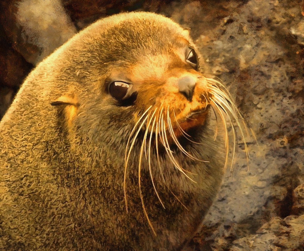 Public Domain, Animals baby pictures, Cute baby animals, images of cute baby animals, baby animals free images - Public domain 