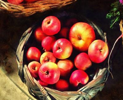 crop, apples, holiday, fruit, wealth, summer,