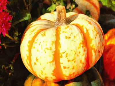 carved pumpkin, head, vegetable, flame, holiday, event, candle, celebration, Pumpkin  - halloween, free photos, free images, free stock photos, public domain images, stock free images