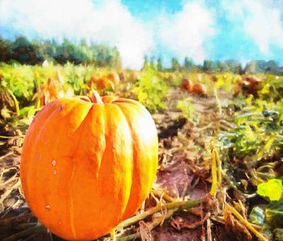 pumpkin, holiday, head, smile, vegetables, fun, - halloween, holiday, free images, public domain images, free stock images, download images, free pictures