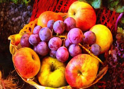 crop, apples, holiday, fruit, wealth, summer,