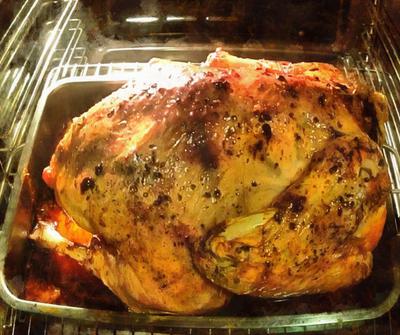 turkey, holiday turkey, roast turkey, poultry, baked poultry, - thanksgiving, public domain images, stock free photos, free images, public domain photos, stock free images. <br>